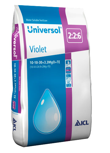 Universol Violett