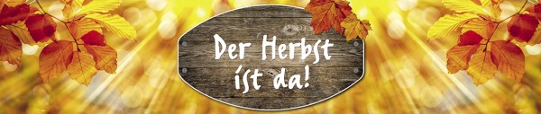 Banner HERBST Blätter