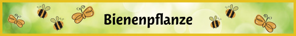 Banner Bienenpflanze