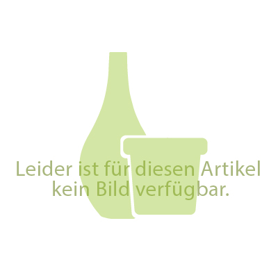 Kübelpflanzenerde 45L